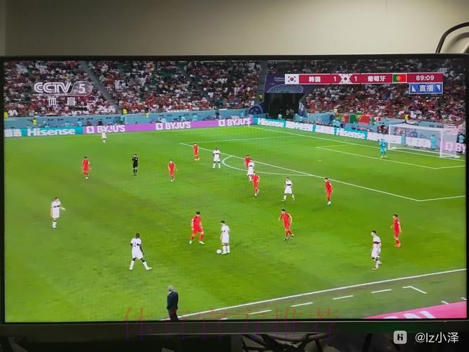 世界杯免费观看在哪里看 世界杯免费观看在哪里看